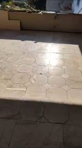 WhatsApp Image 2026-01-16 at 11.12.45